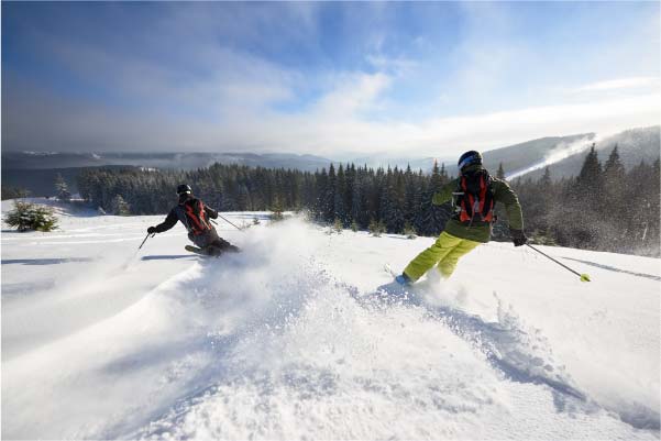 Skieurs en hors piste dans la poudreuse